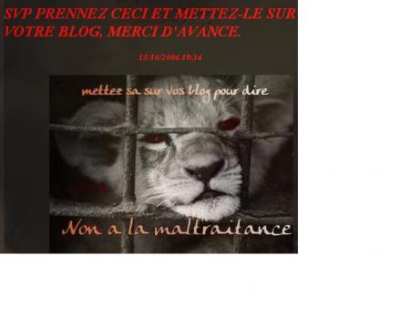 tout mimi