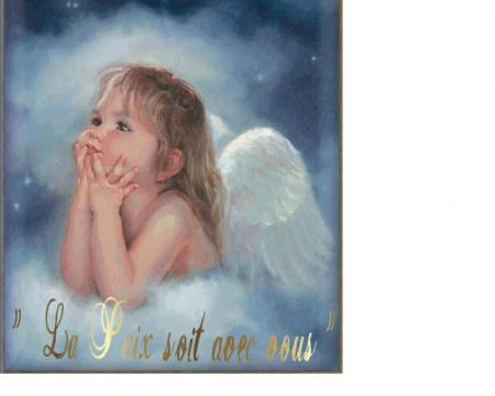 pour mon teddy et ma sandy